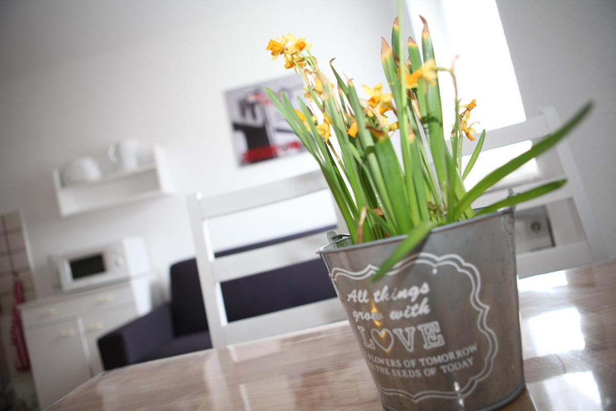 Bermuda Apartment - Housity