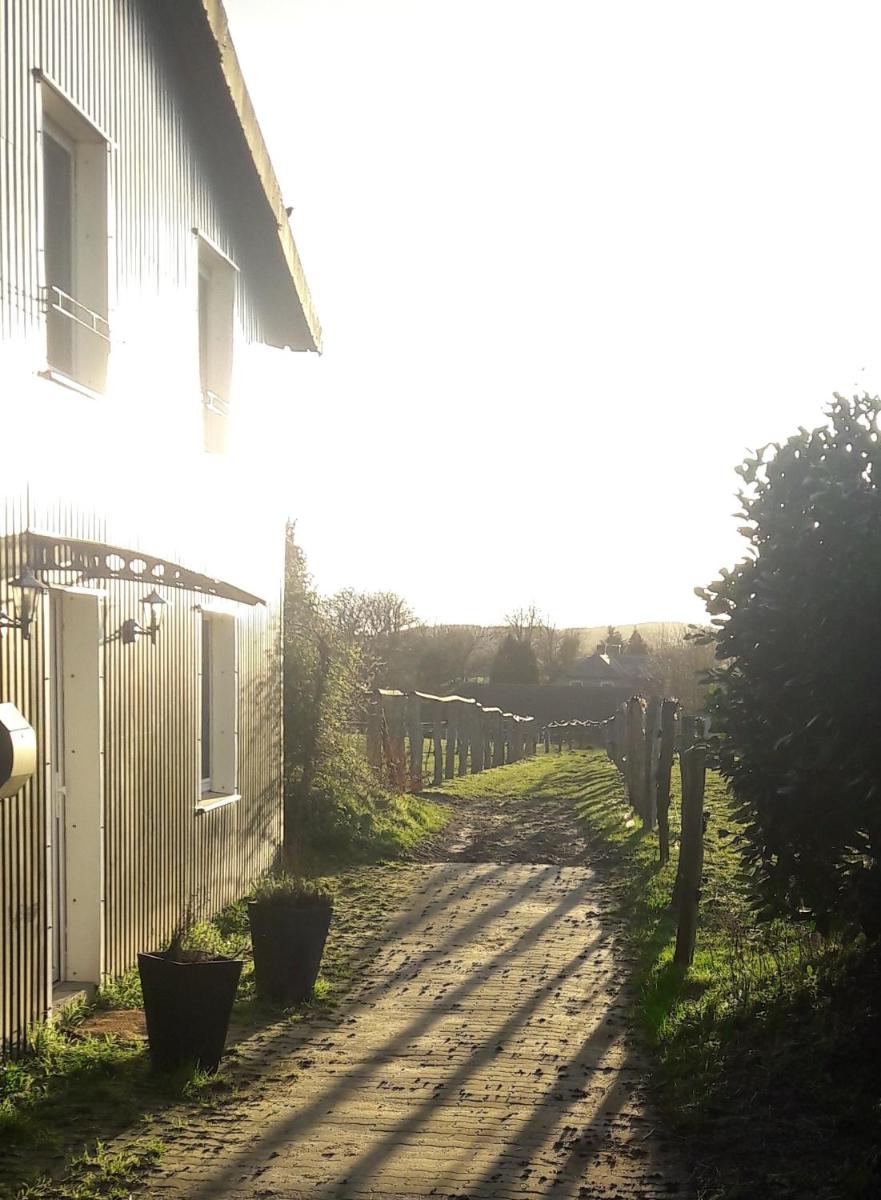 Akebys Erholung in besonderer Atmosphäre, inkl Pflegepony, Gastpferdeboxen vorhanden - Hizvo