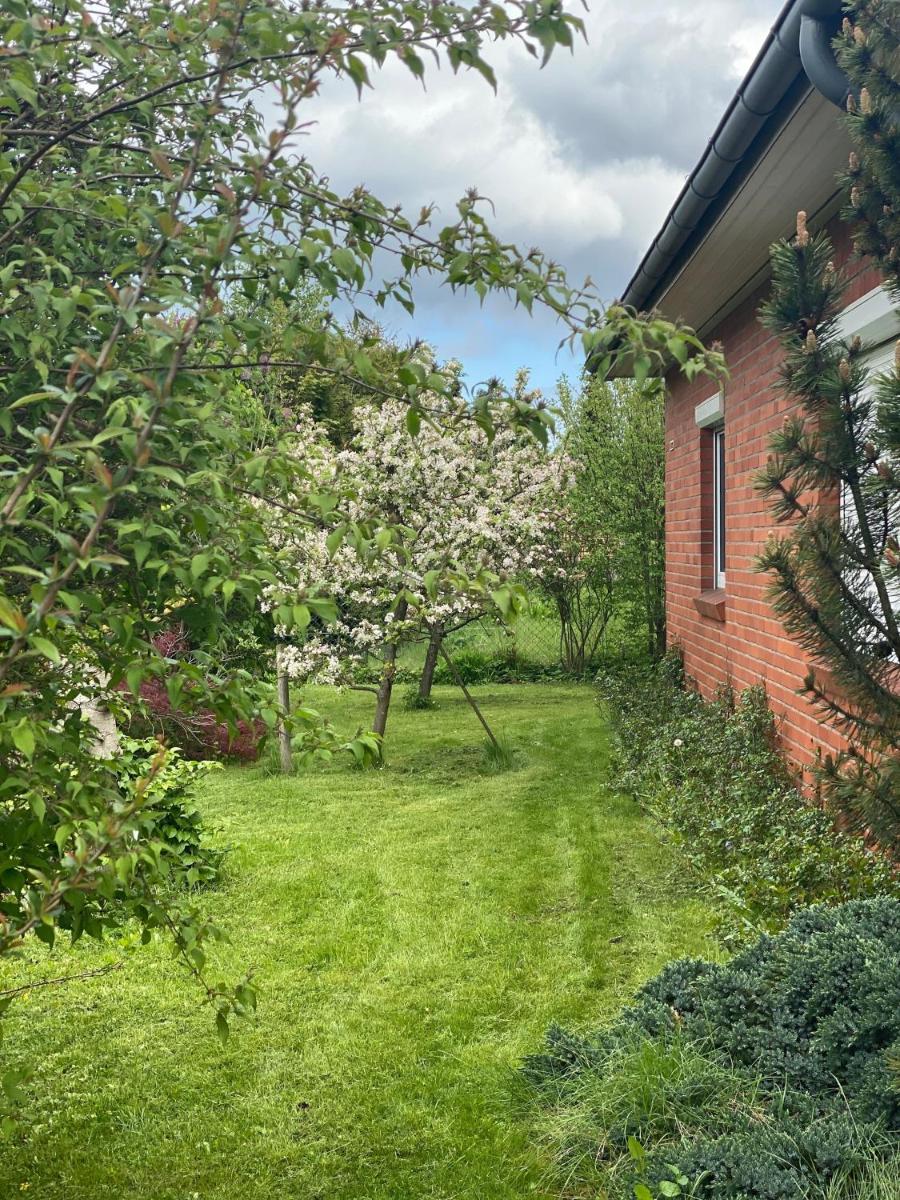 Ferienhaus Annu - Housity