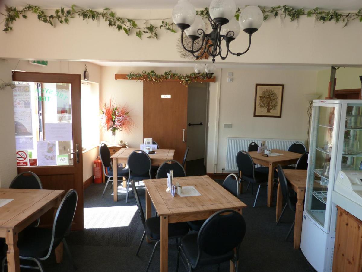 The Sycamore Tree - Housity