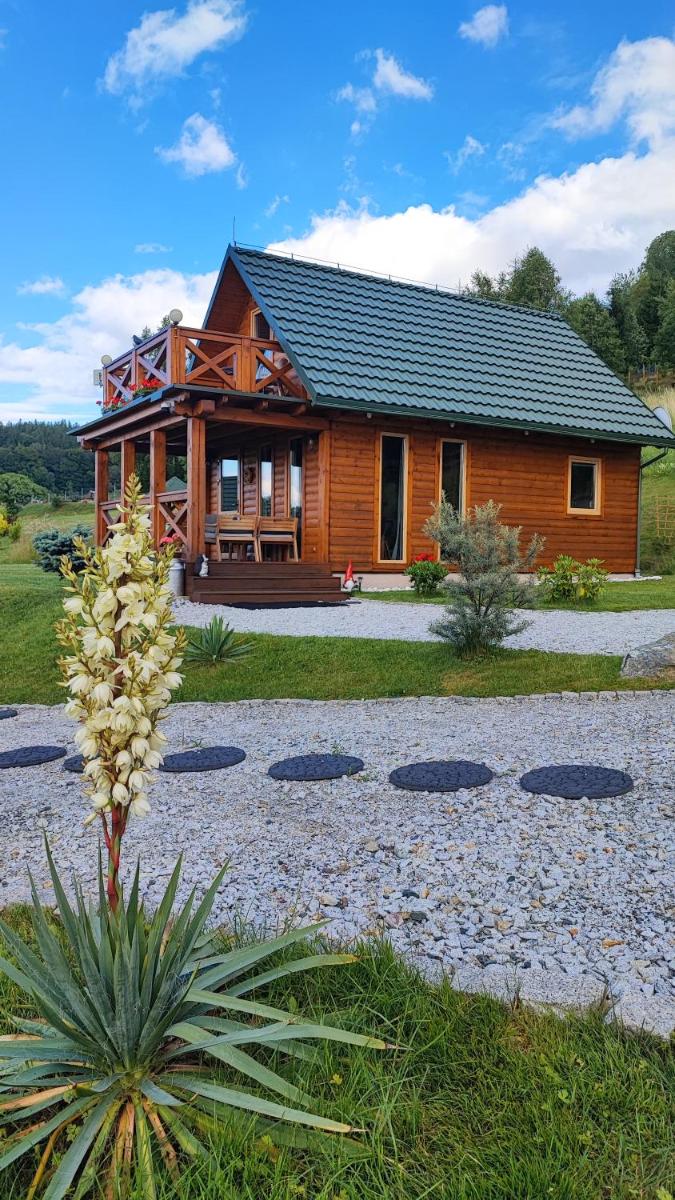 DOMKI KOLOROWE - Housity