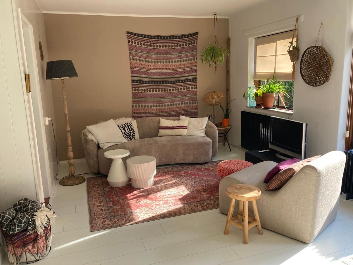 Cosy House - Housity