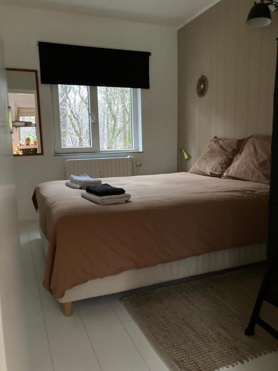 Cosy House - Housity