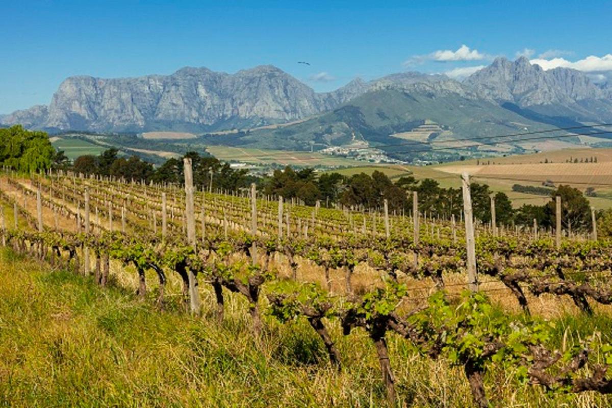 Domaine Coutelier - Housity