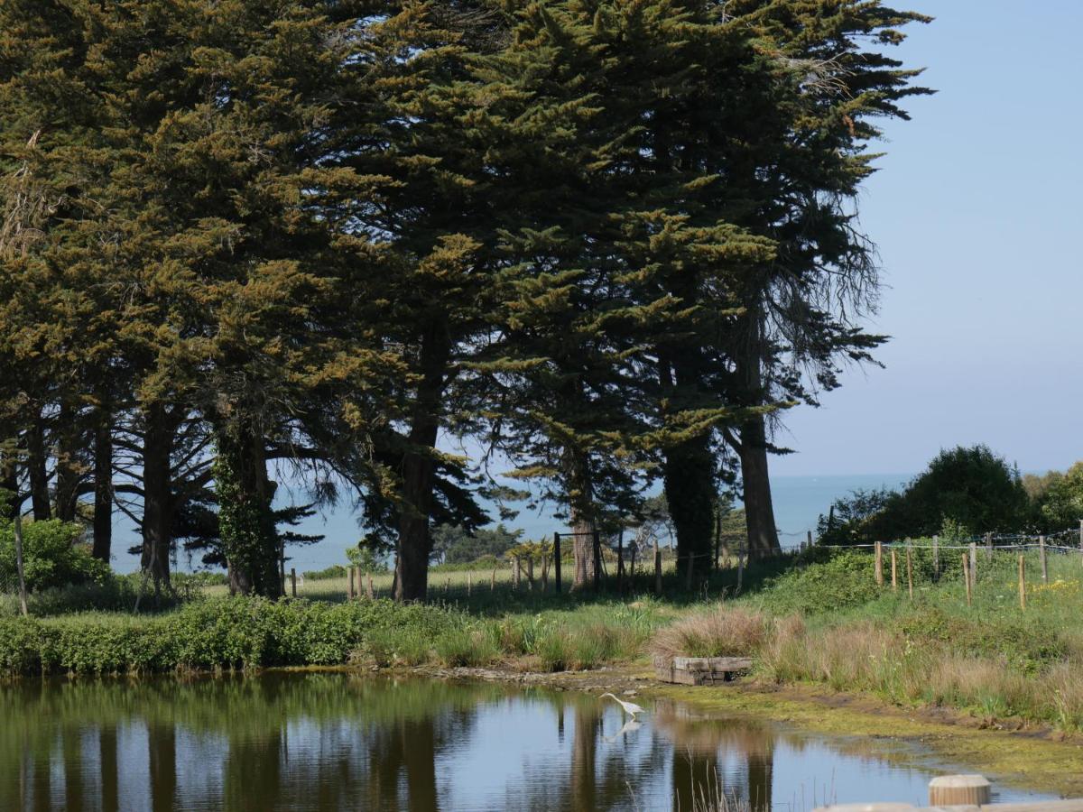 Paysage naturel près de l'hôtel