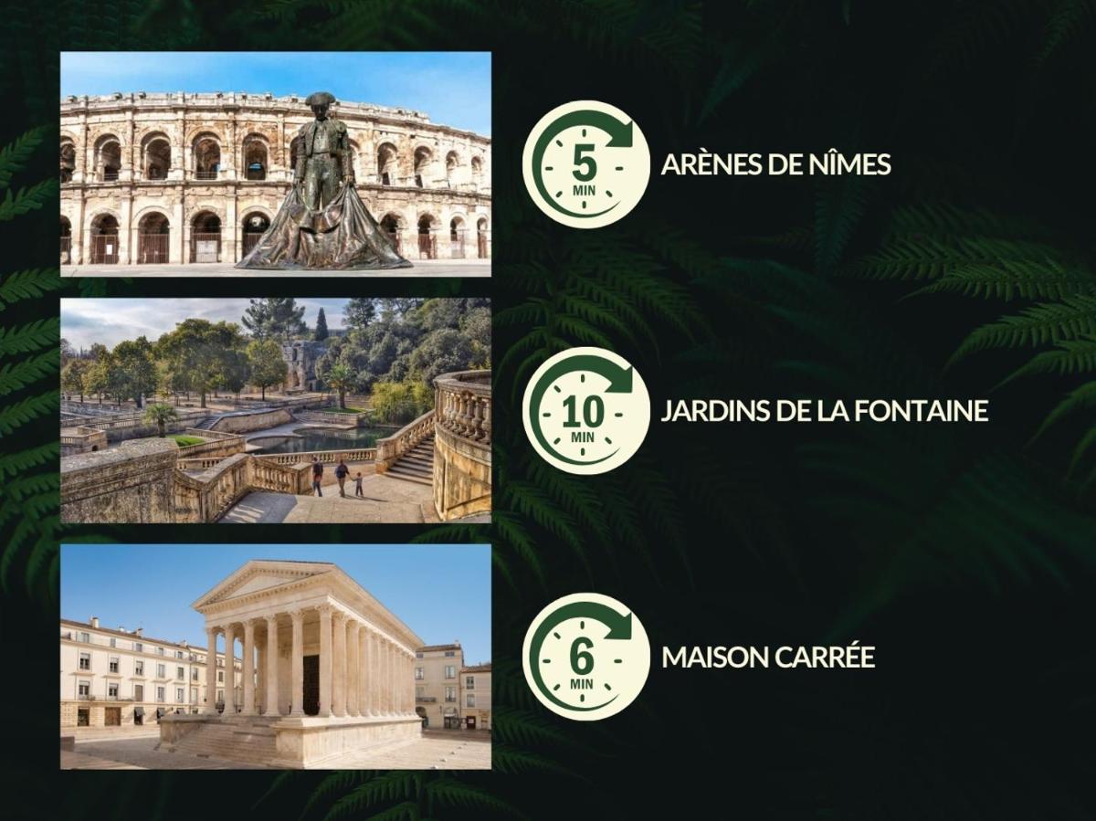 Nîmes Arènes - Logement insolite classé aux Gîtes de France - Housity