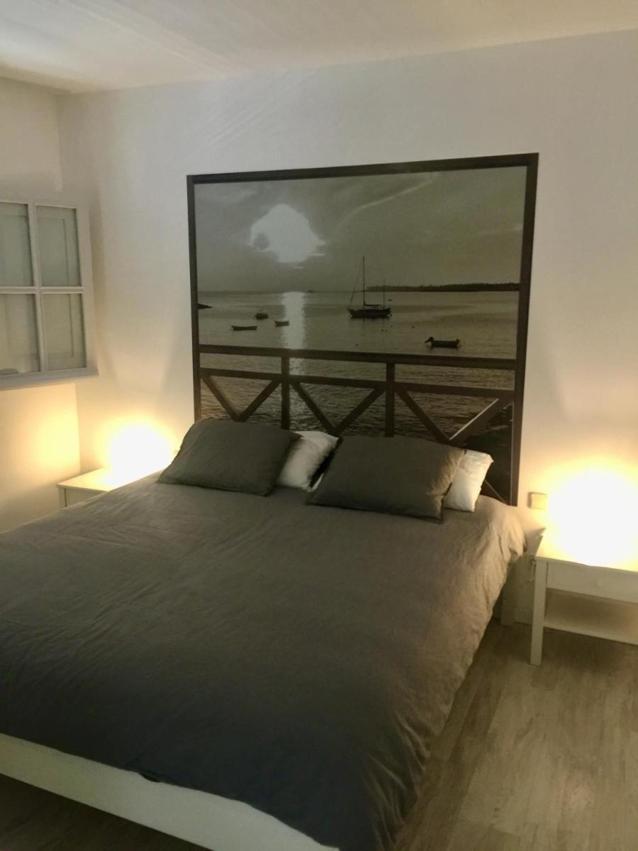 Caballito de mar seahorse - Housity