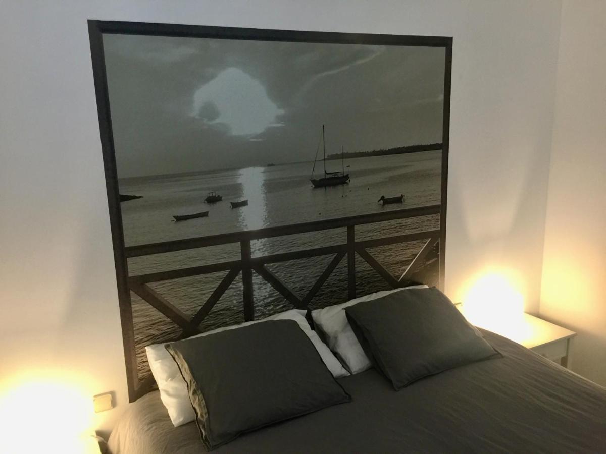Caballito de mar seahorse - Housity