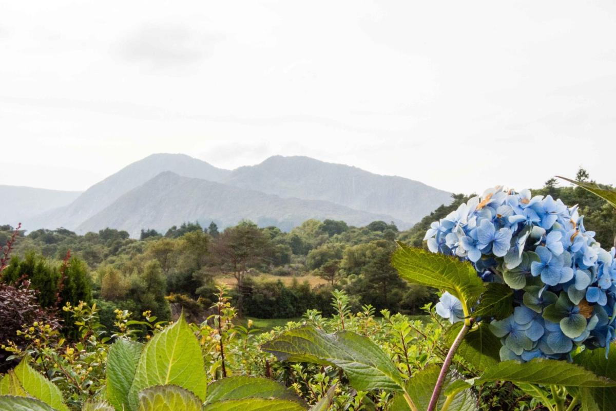 Mountain View B&B - Housity
