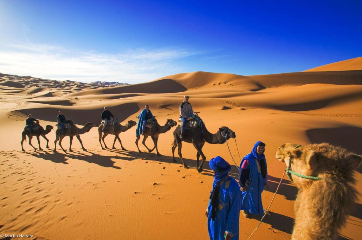 Merzouga Unique Luxury Camp & Activities - Housity