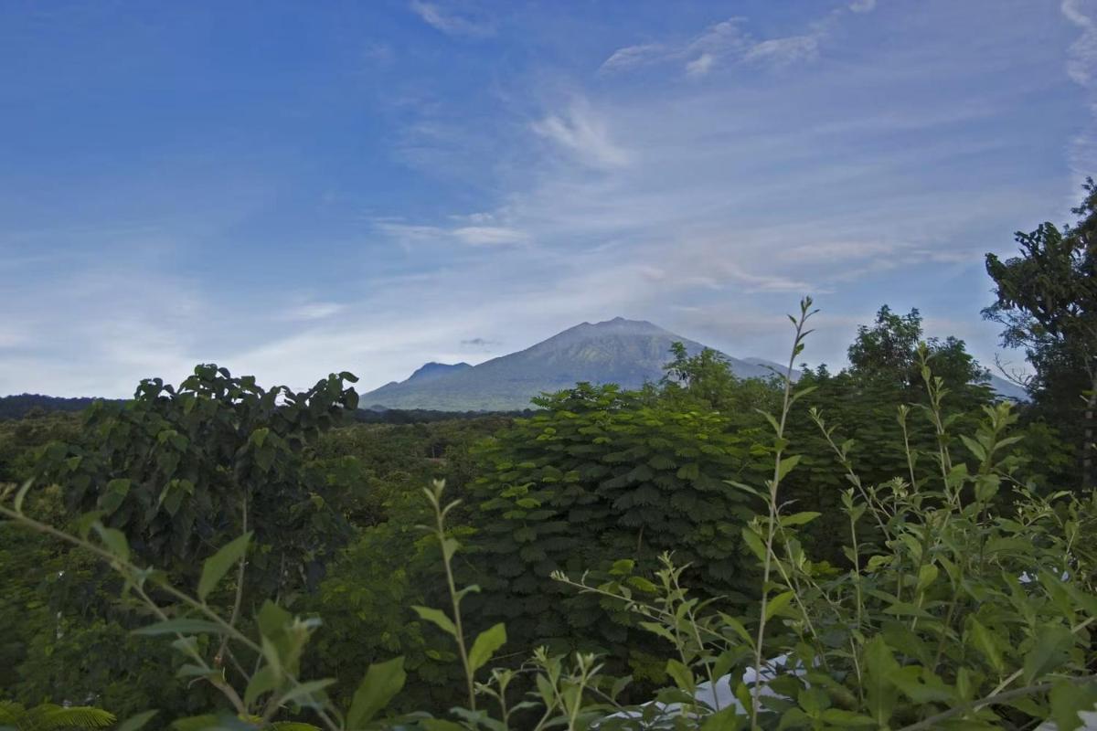 Bangsring Breeze - Housity