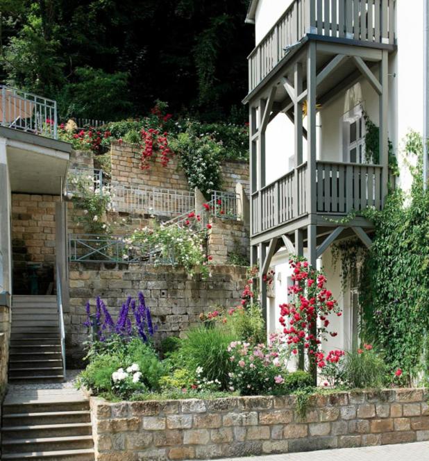 Apartmenthaus Saxonia - Housity