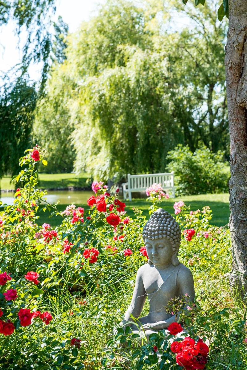 Jardin de l'établissement Château De Massillan