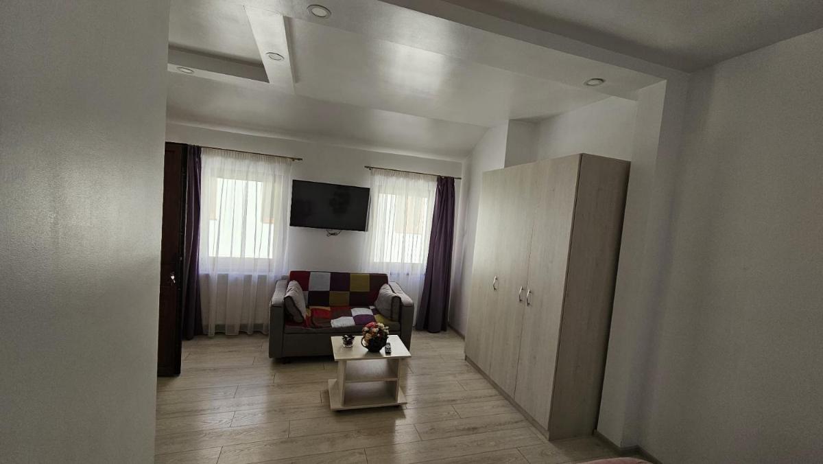Vila Șaguna - Housity