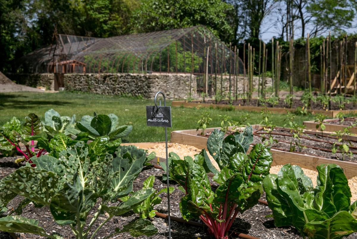 Jardin de l'établissement Château De Massillan
