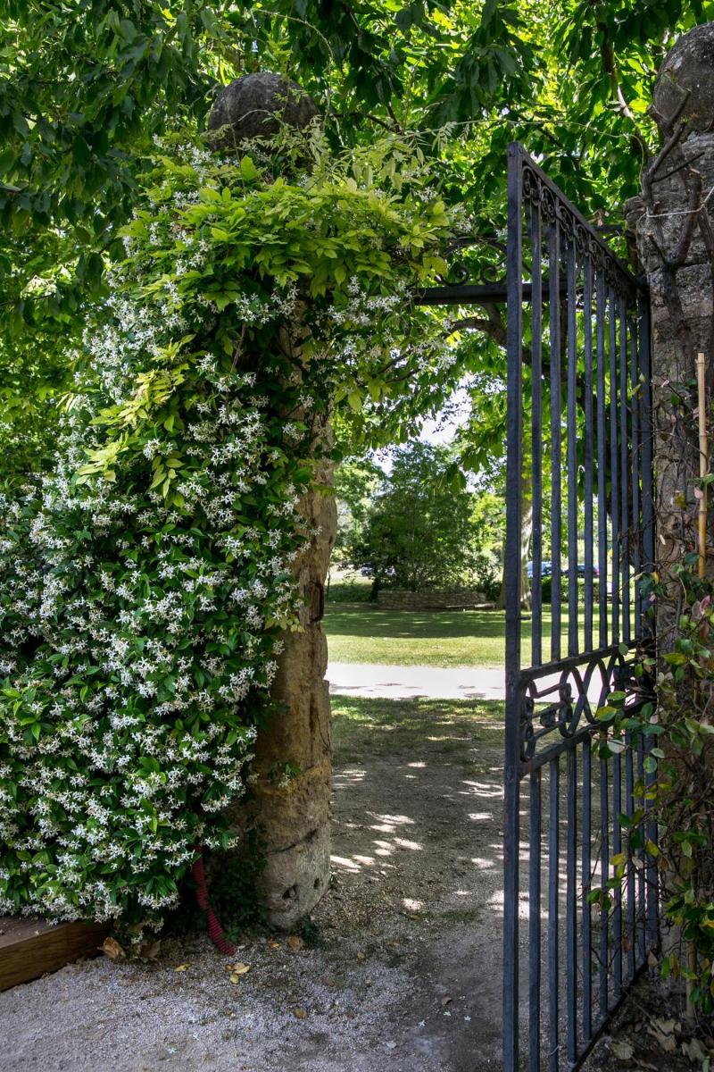 Jardin de l'établissement Château De Massillan