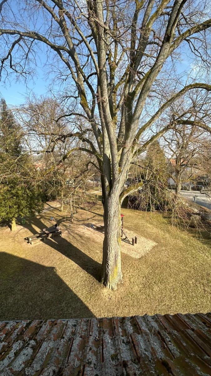 Ferienwohnung Parkblick Münnerstadt - Housity