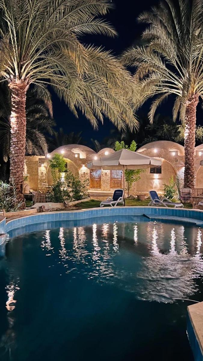 Siwa Palace Lodge - Hizvo