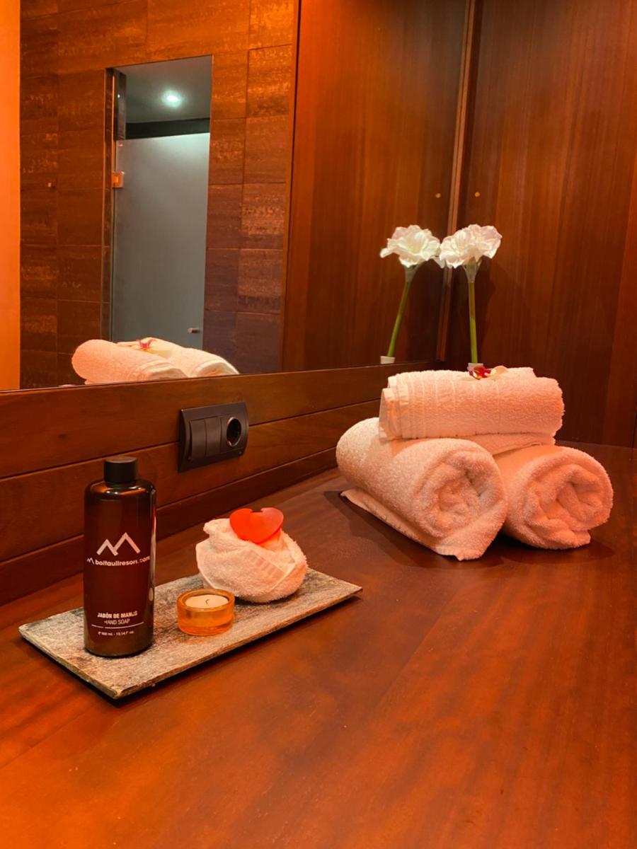 Imagen de la galería de Aparthotel Siente Boí & SPA, en Pla de l'Ermita