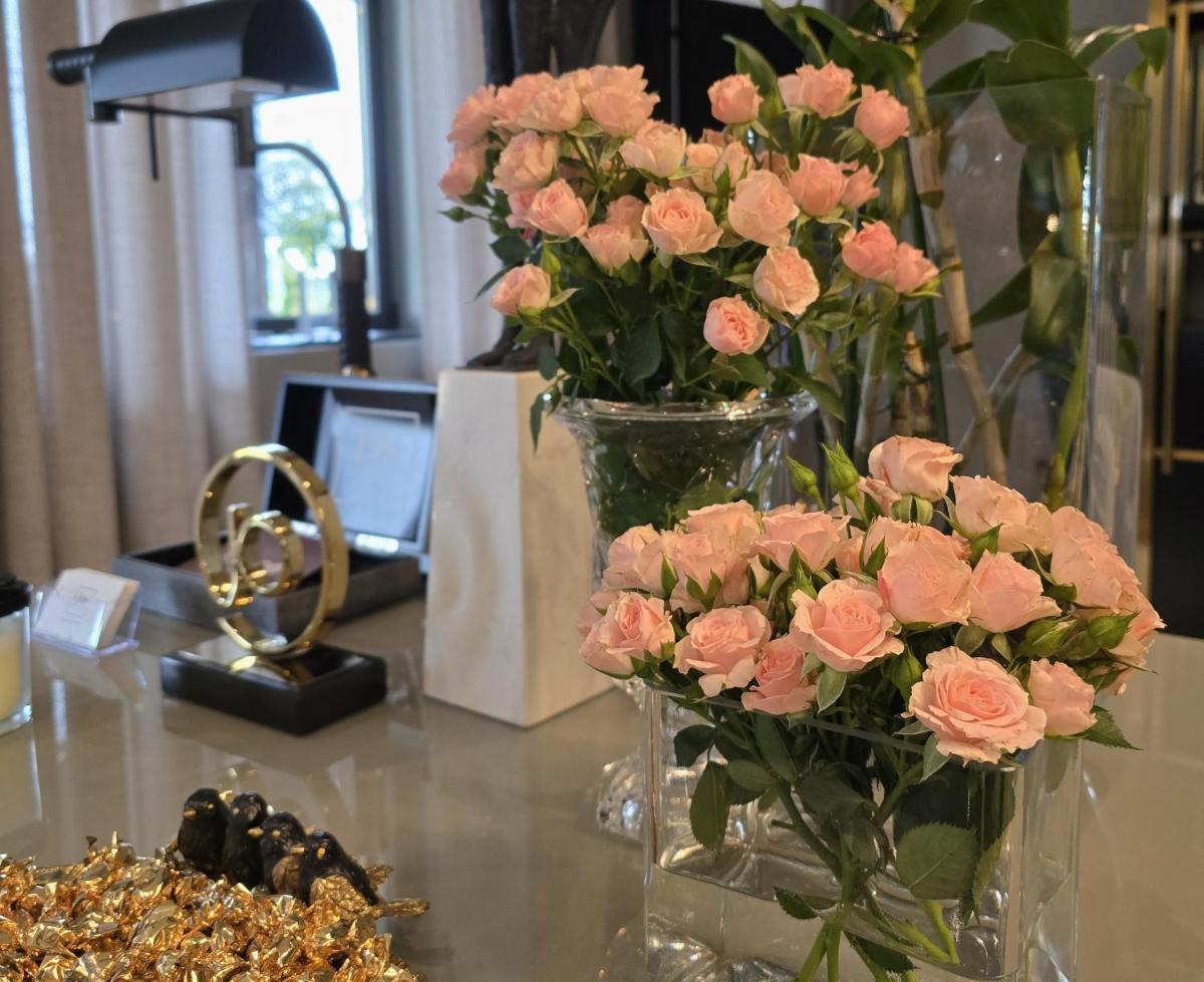 Imagem da galeria de DS Hotel Lusopark em Santa Maria da Feira