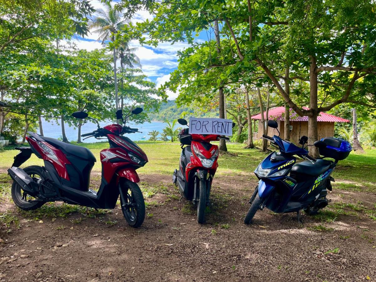 Virly’z Top View Resort - Housity