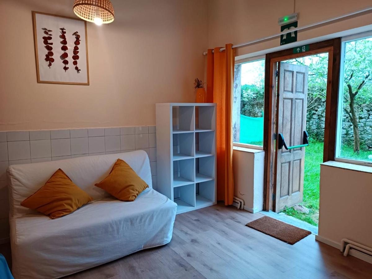 Nómada Hostel - Surf & pilgrim House - Housity