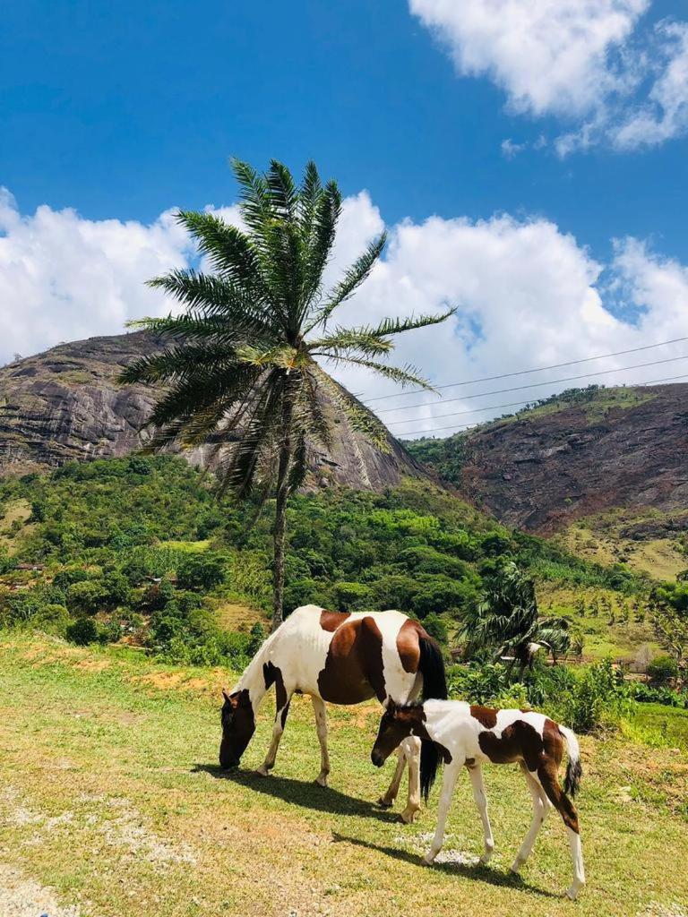 Hotel Fazenda Pedra Do Rodeadouro - Housity