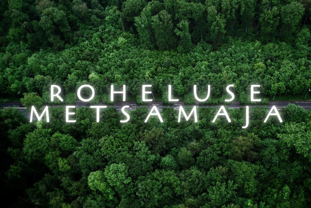 Roheluse metsamaja with hot tub and sauna - Housity