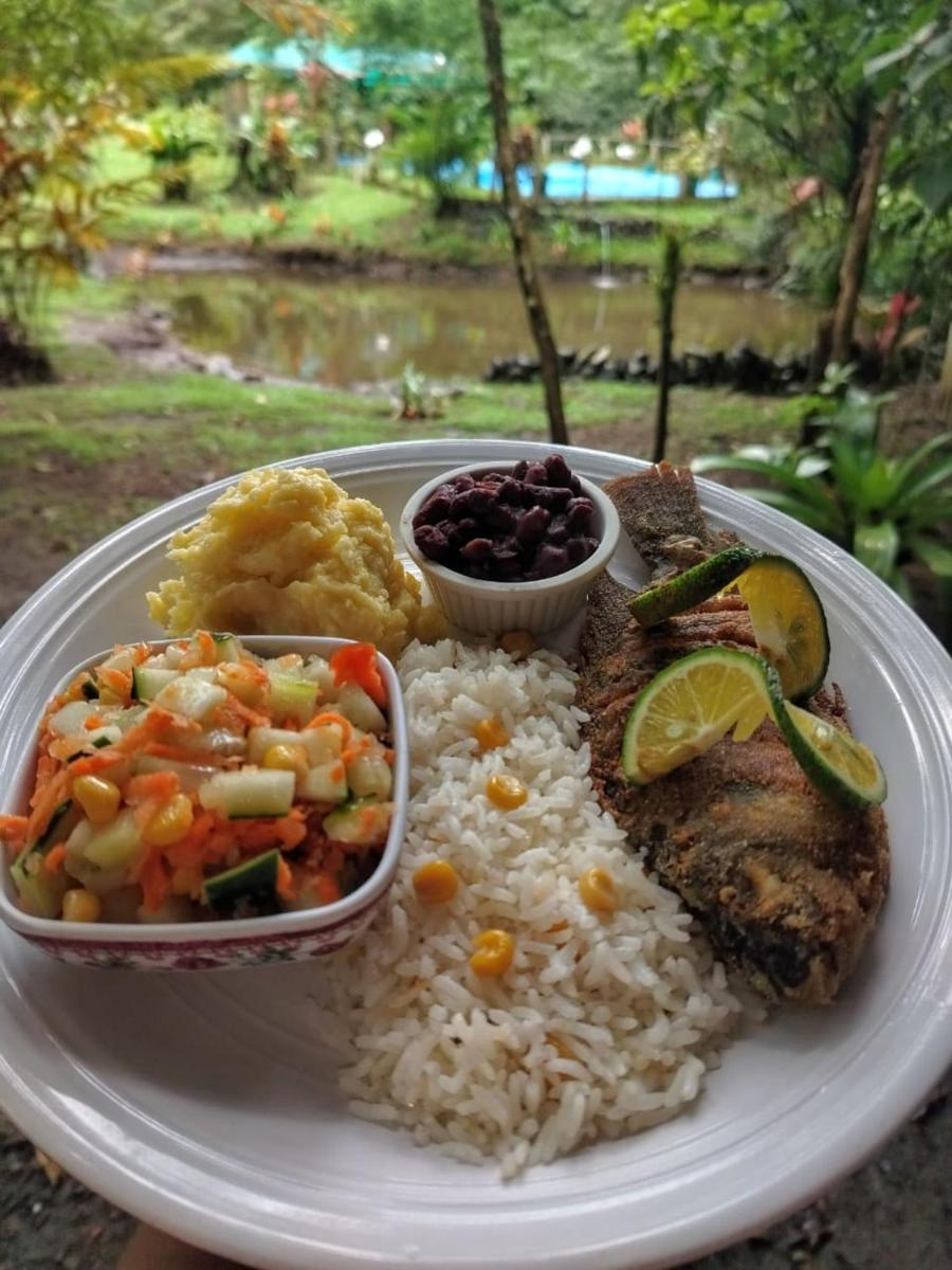 Oski Lodge, Rain Forest Rincón de la Vieja - Housity
