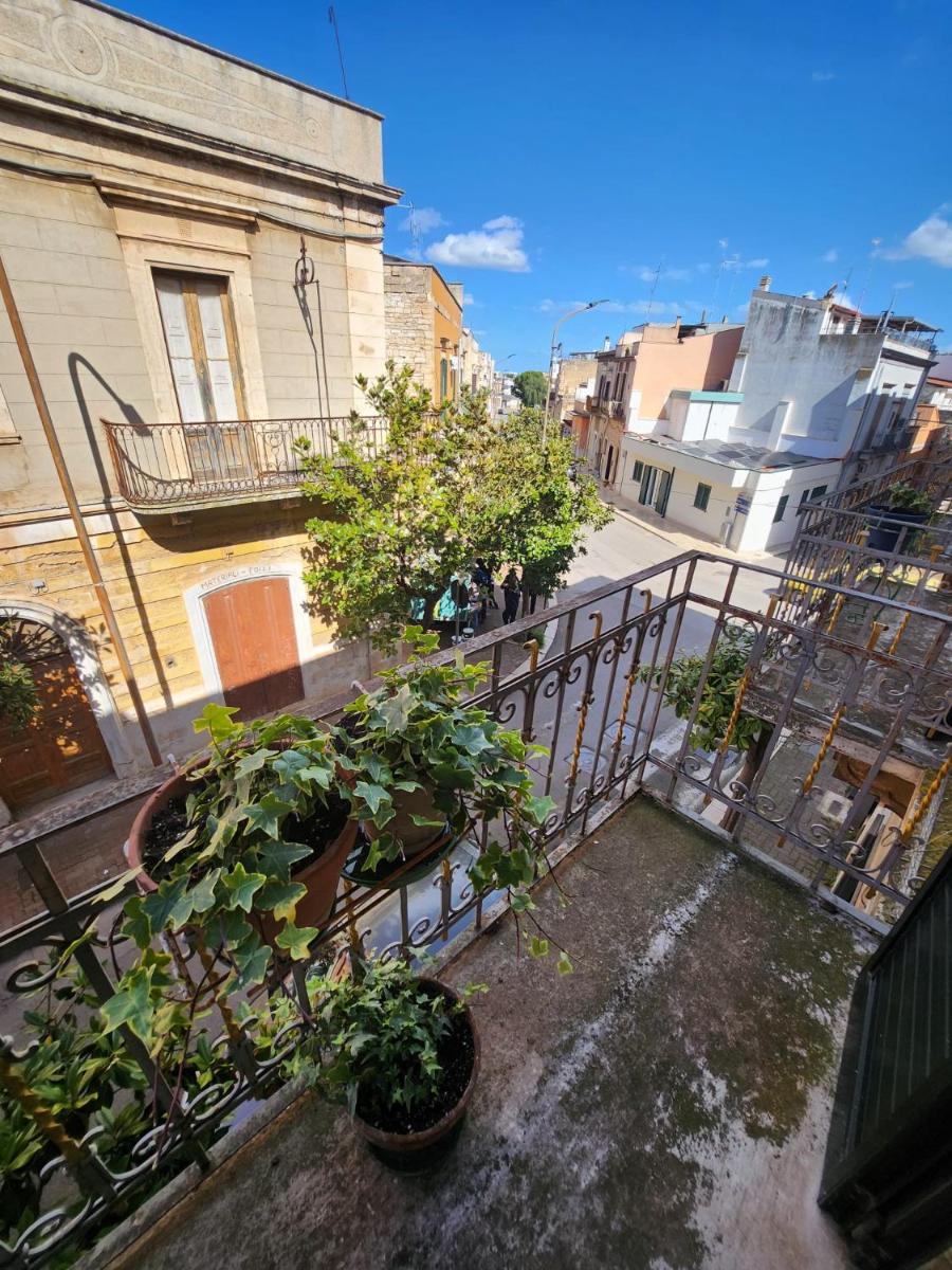 La Maison Royale - Housity