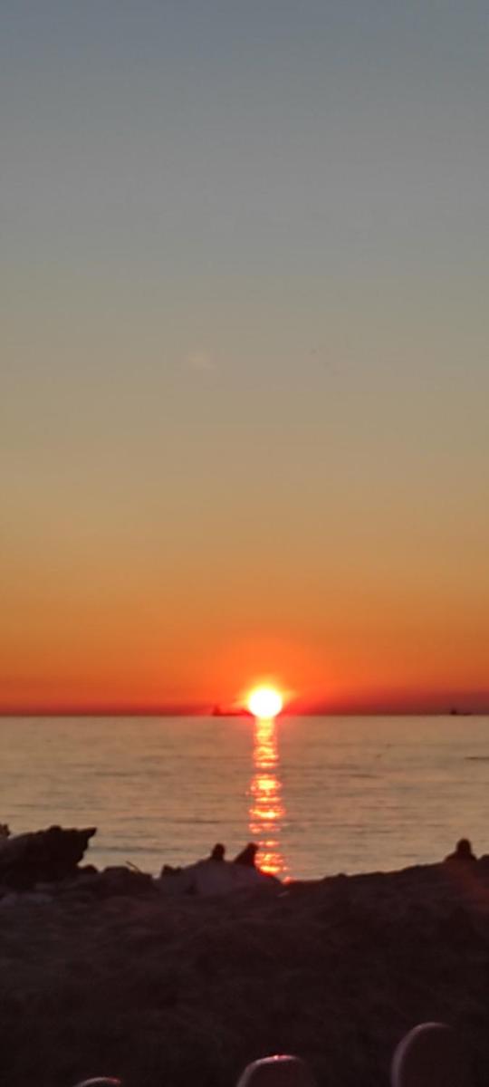 Roby house - Housity