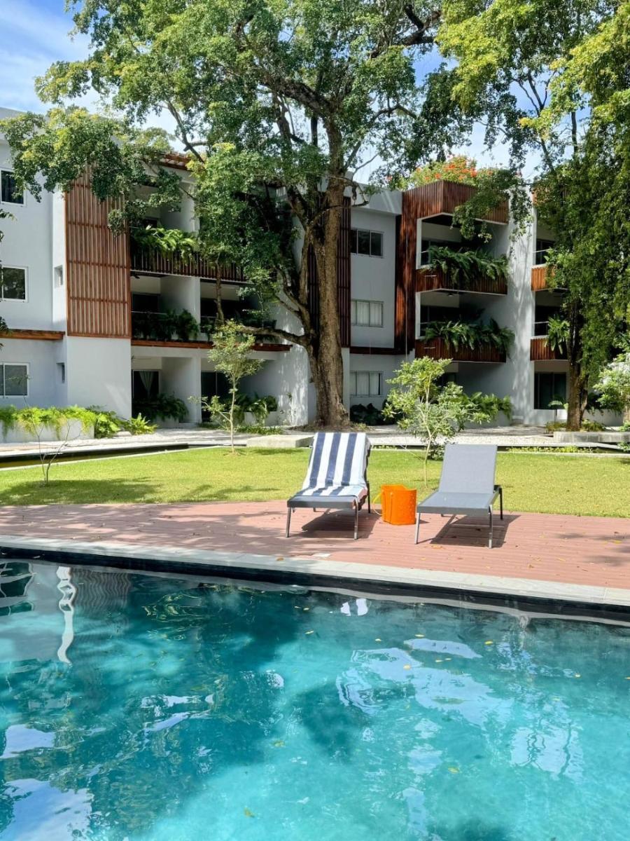 Perla Marina Beach Condo- Walk to Yoga, Spa & Food - Housity