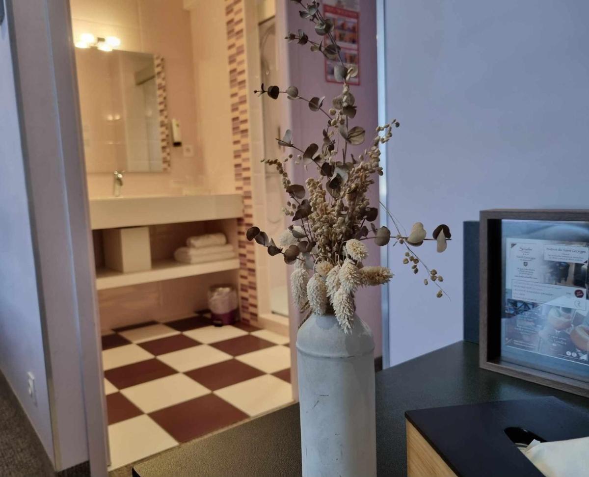 Logis Hotel Schaeffer- Restaurant Le Saint Georges - Housity