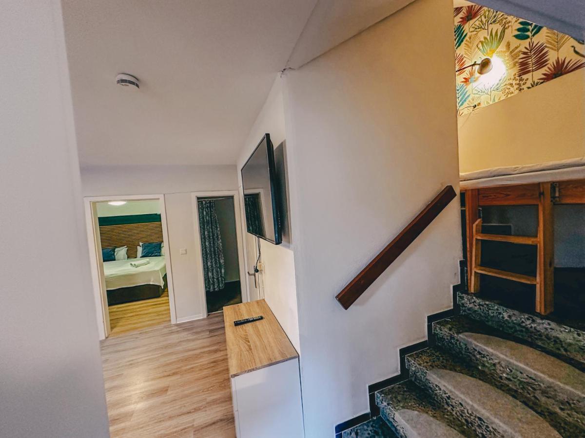 Sali-Bayreuth - SM9 Charming Apartment Near Zoo in Bayreuth with Terrace, Free Wi-Fi & 24-Hour Front Desk - Housity