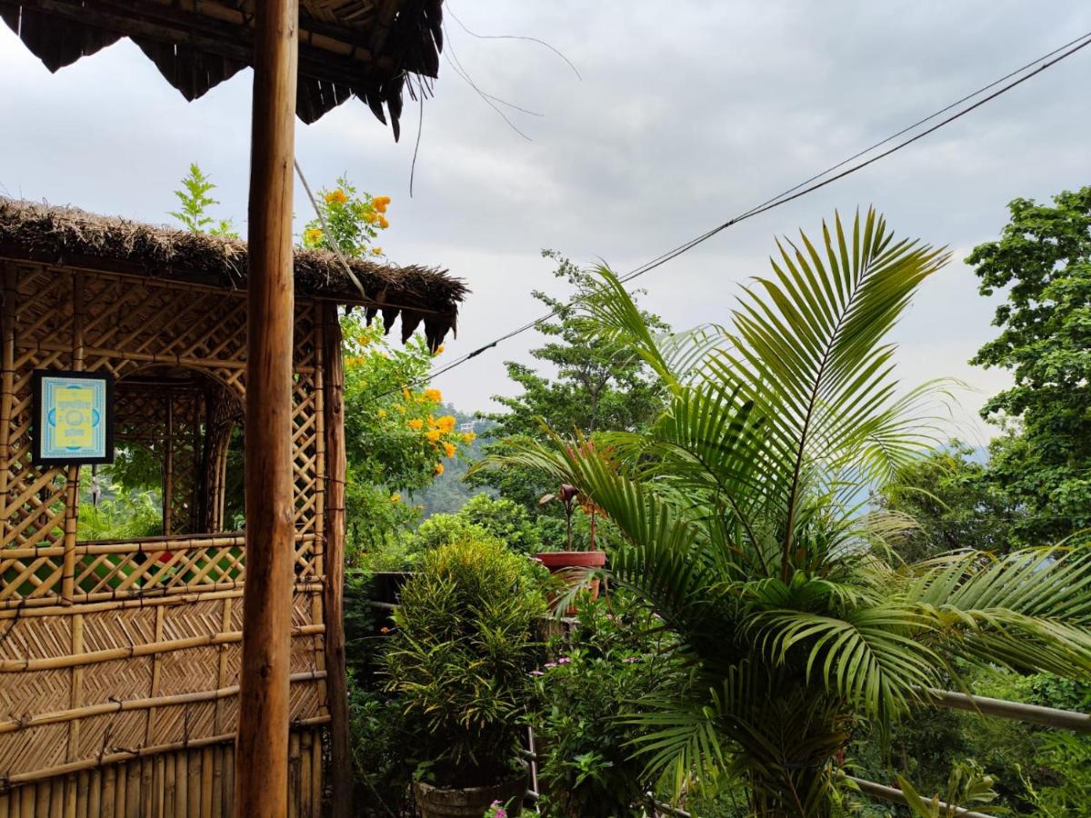 Nature Villa - Hizvo