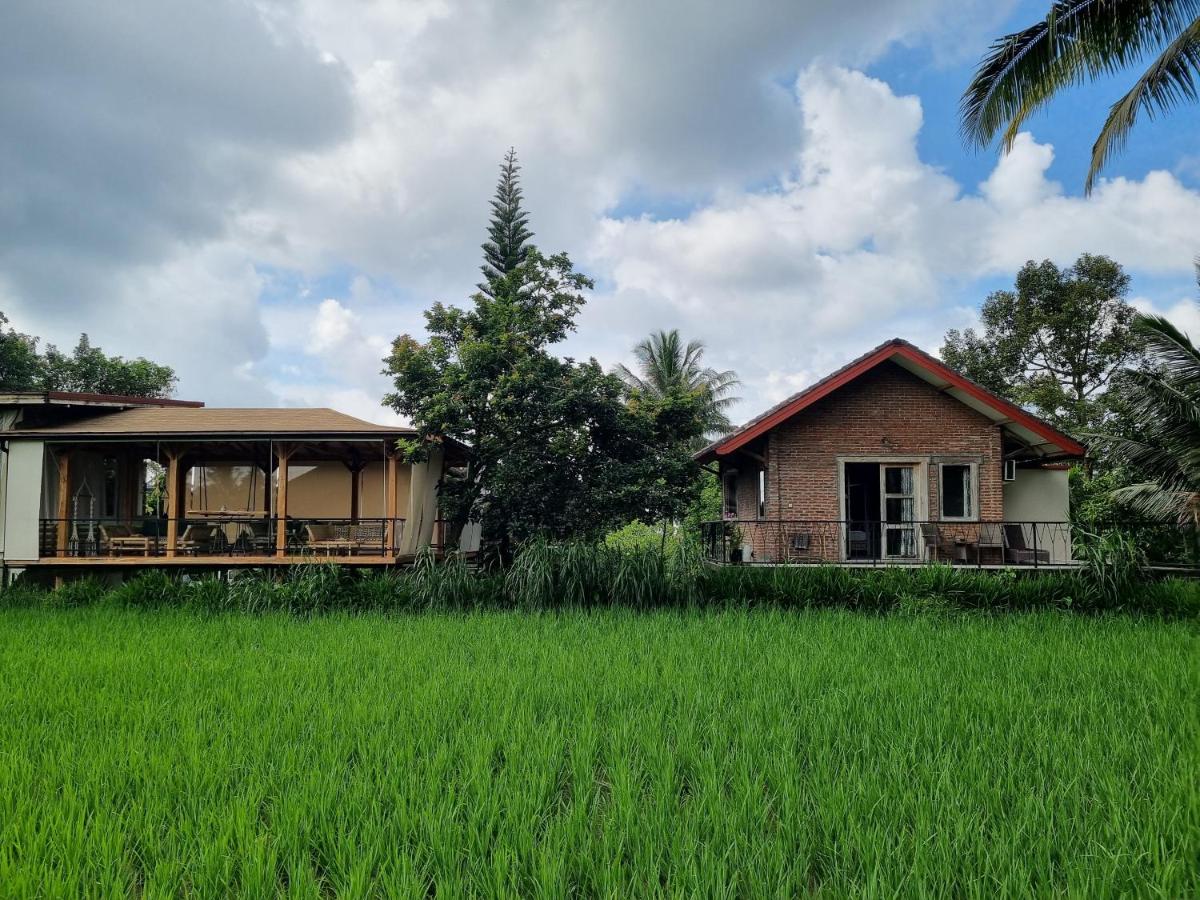 Les Rizieres Lombok - Tetebatu - Housity