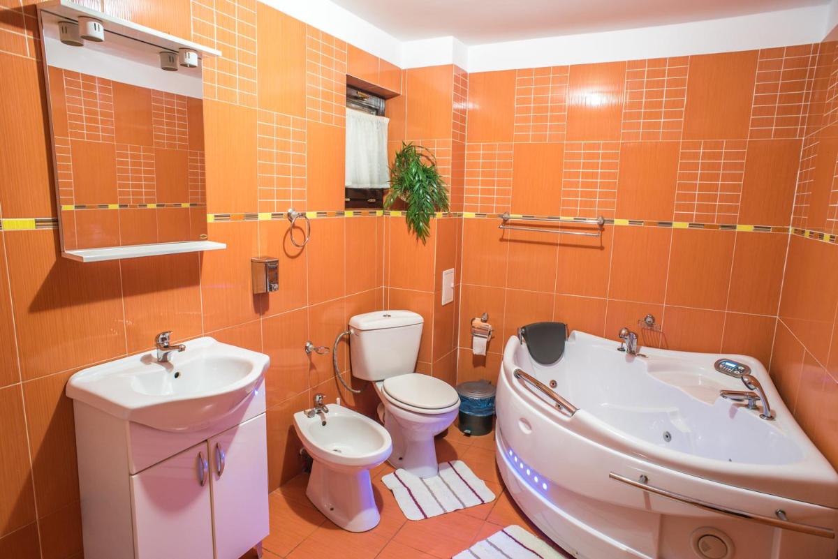 Pensiunea Casa Tamara - Housity