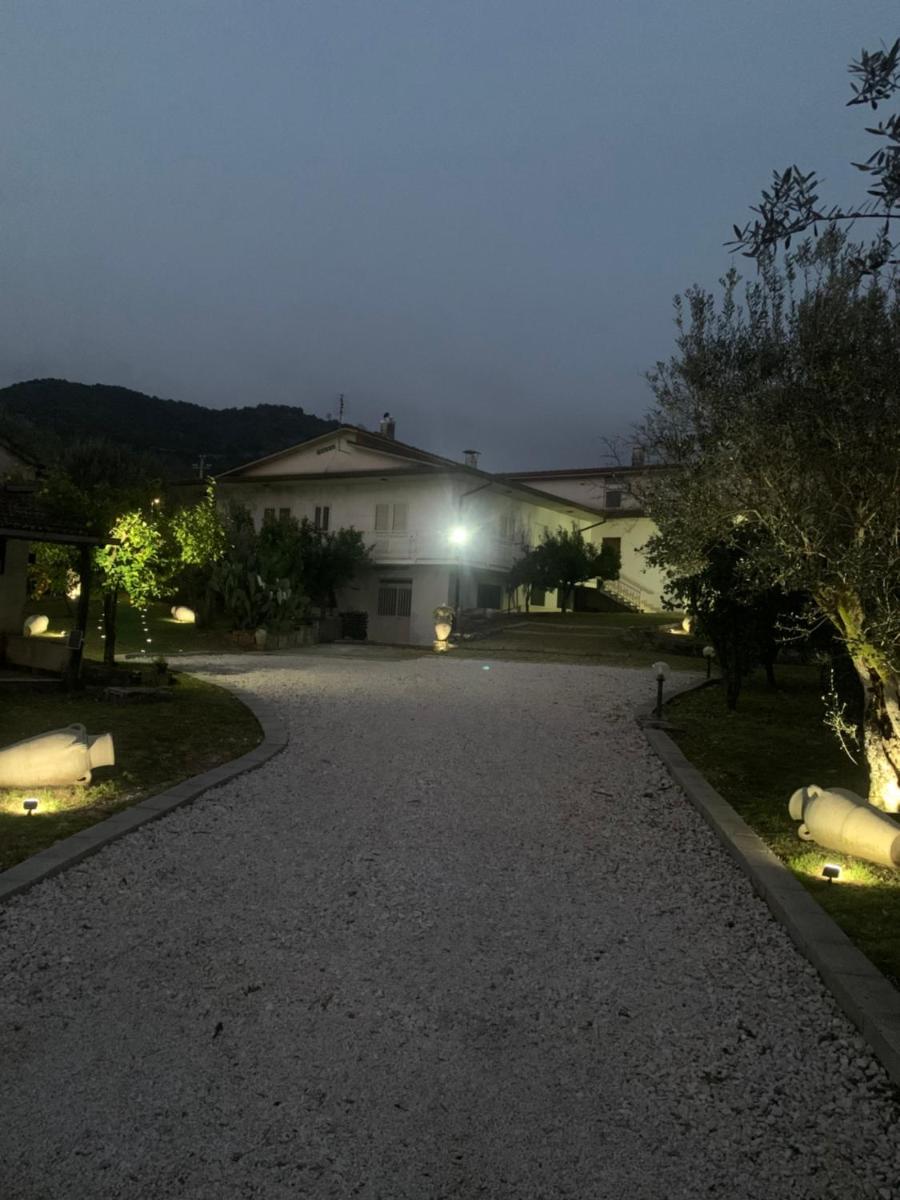 Tenuta degli Uliveti - Housity