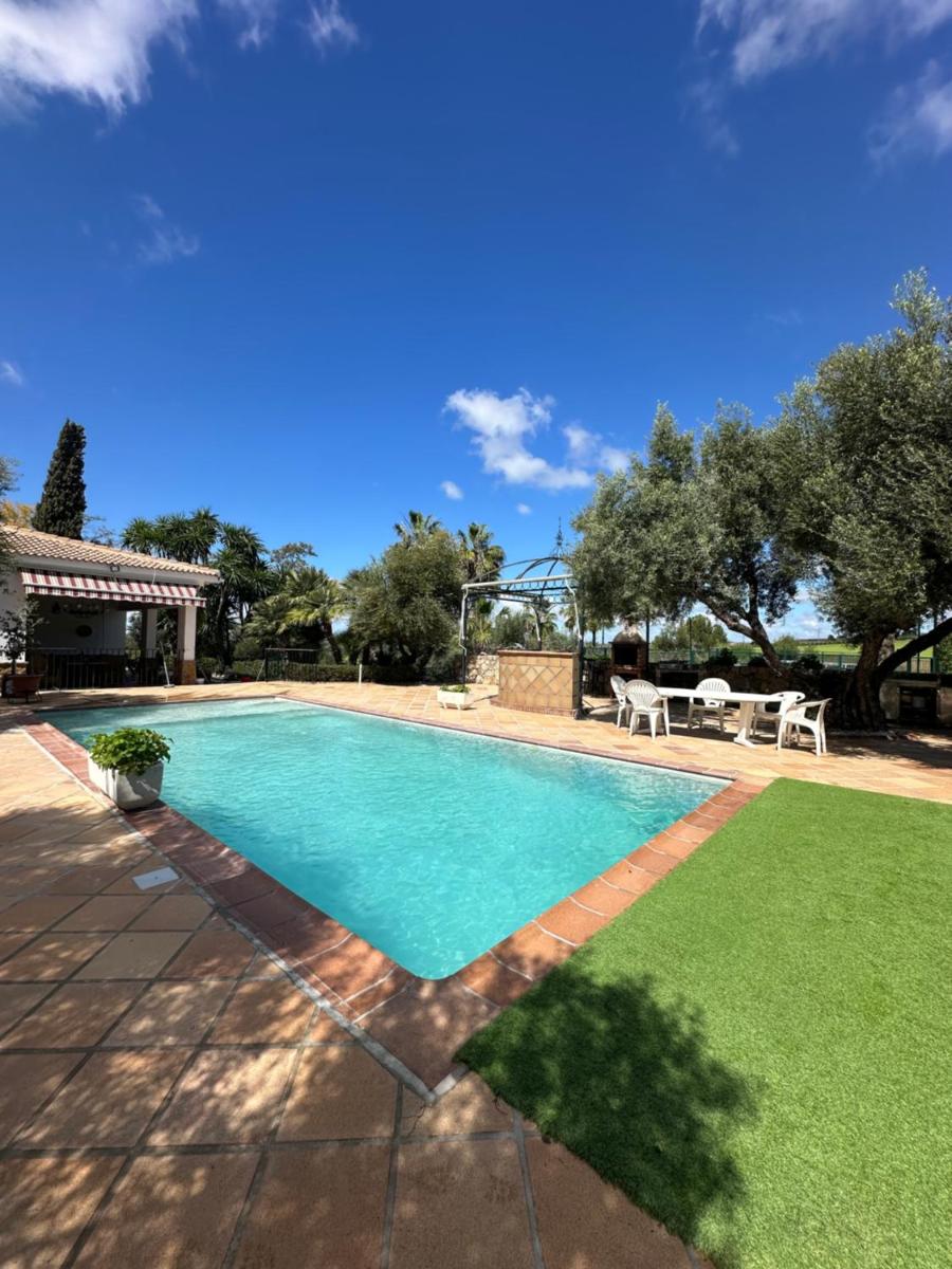 La Algazara - Housity