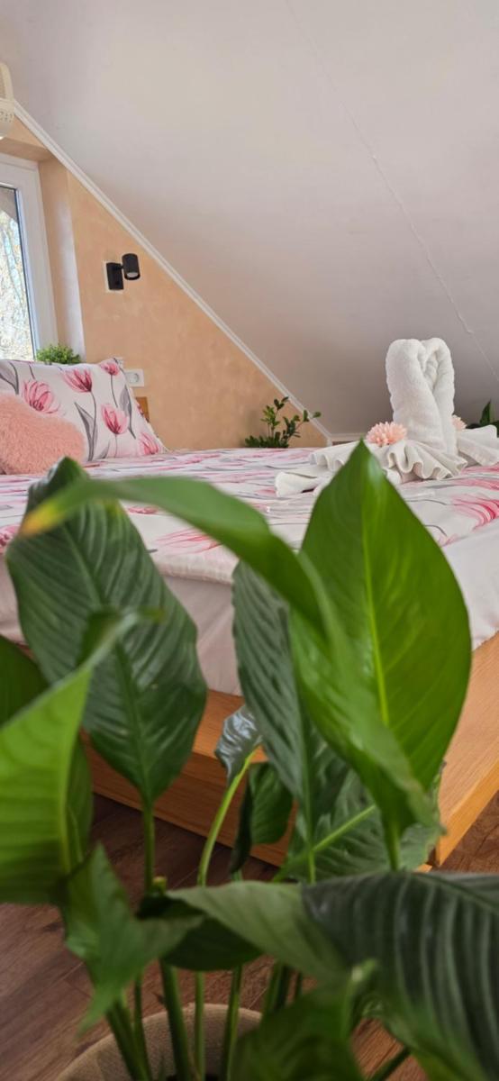 Villa Melani **** - Housity