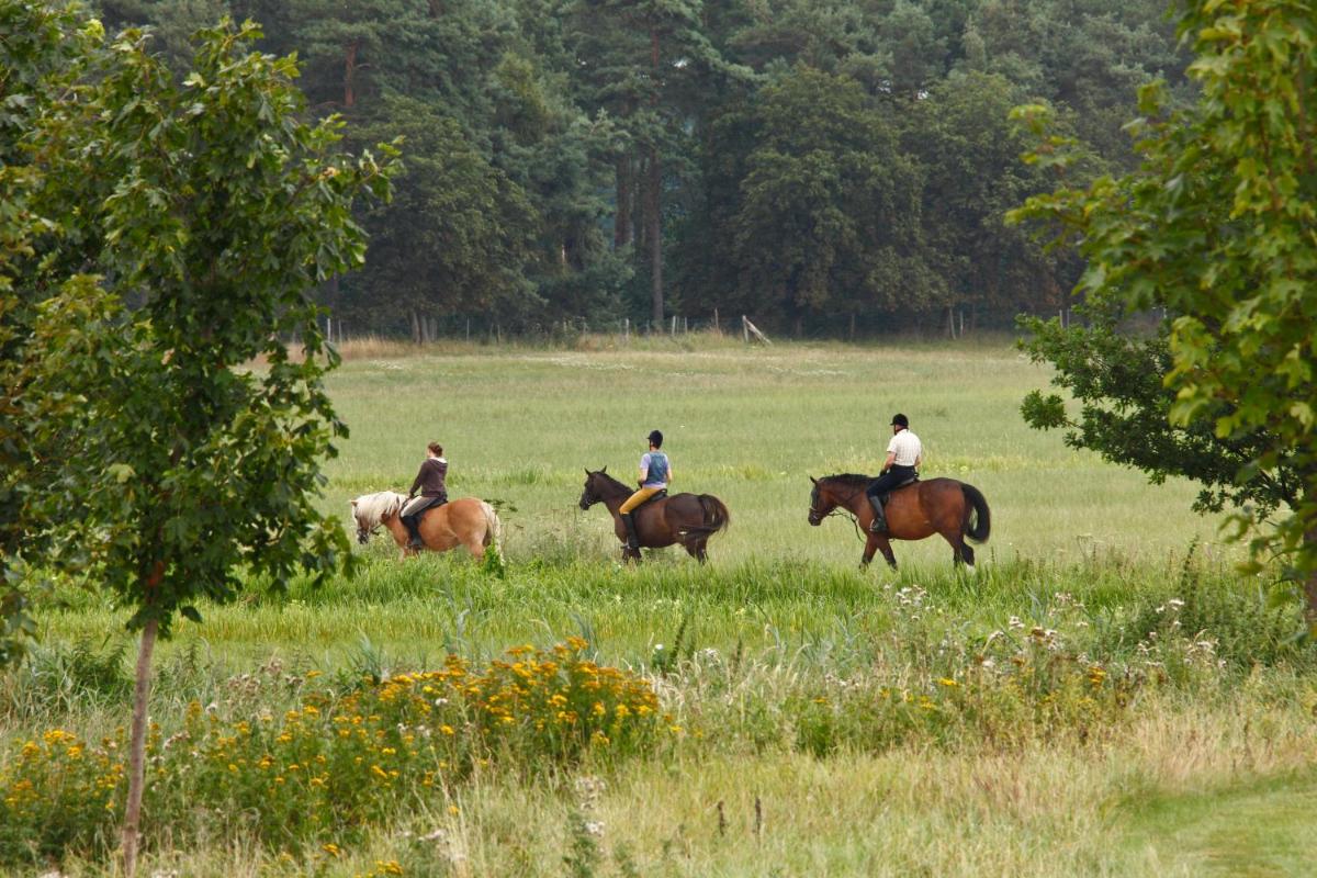 Tiere im Resort oder in der Nähe