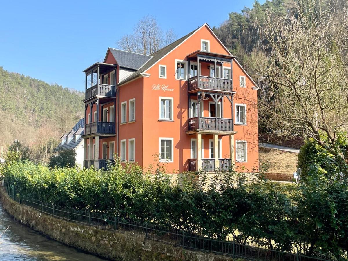 Villa Monsei - das Herzstück in Bad Schandau, top Lage, modern, mit Parkplatz! - Housity