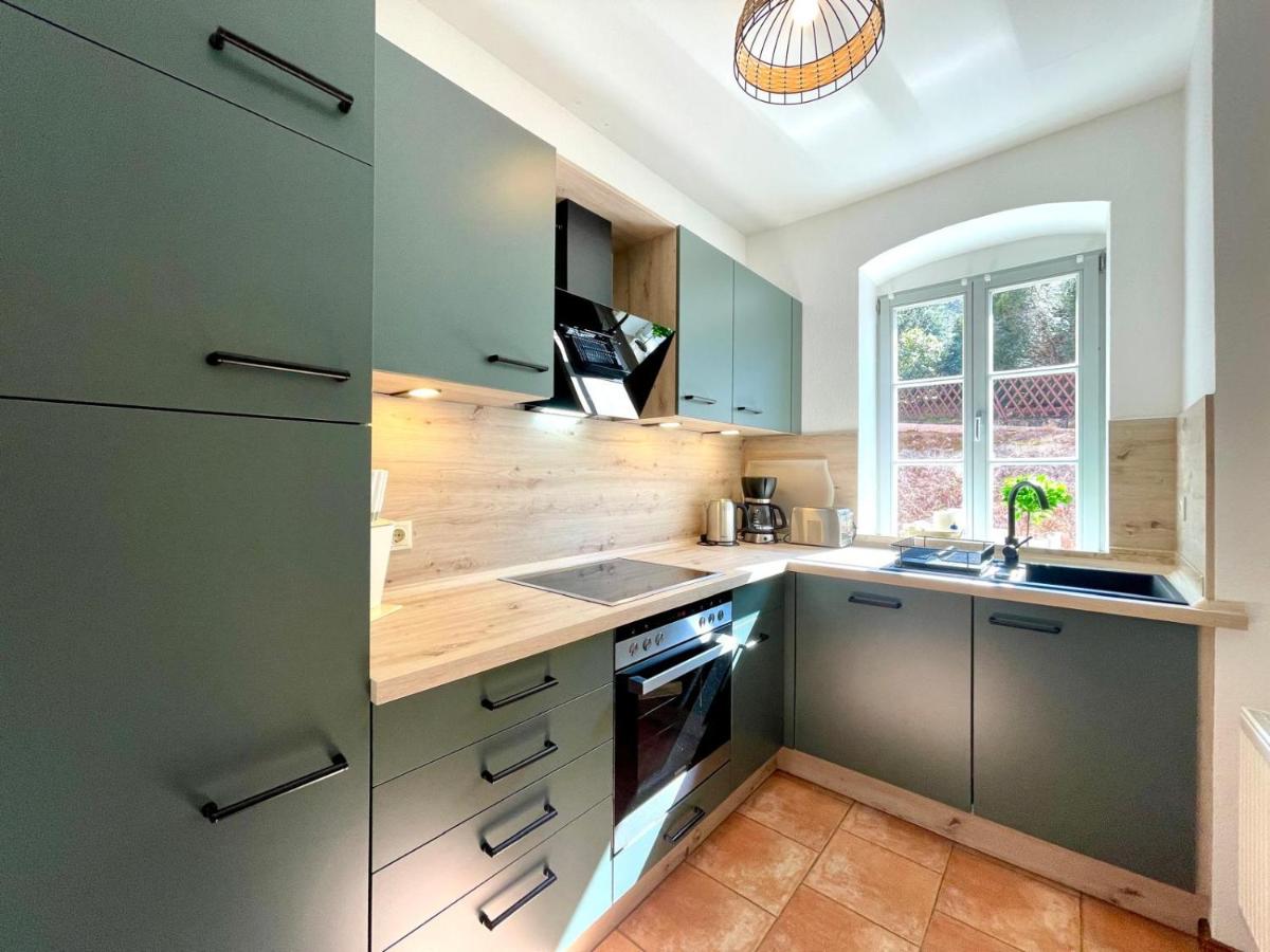 Villa Monsei - das Herzstück in Bad Schandau, top Lage, modern, mit Parkplatz! - Housity