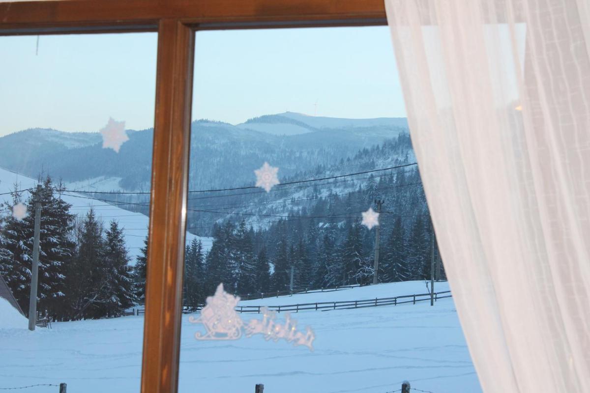 Arnica Montana - Housity