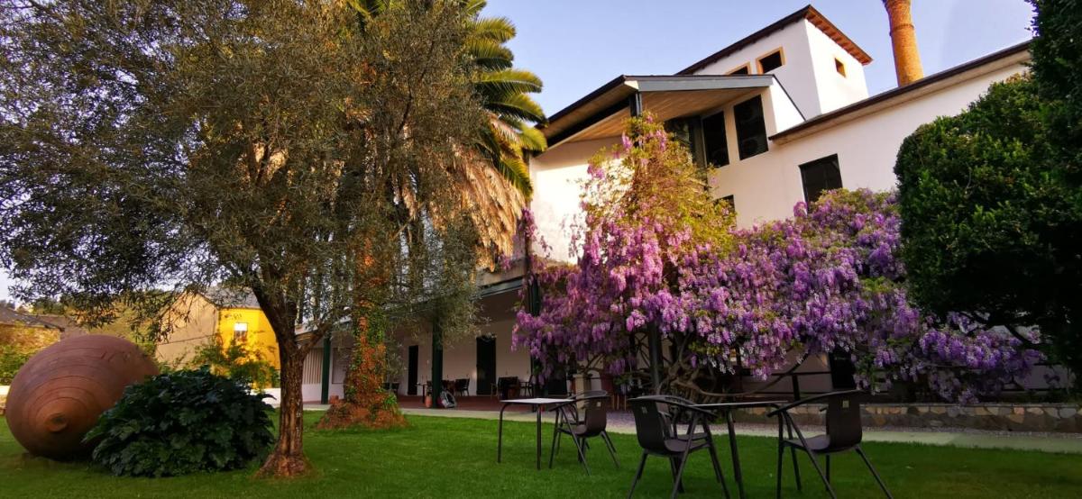 Viña Femita - Housity