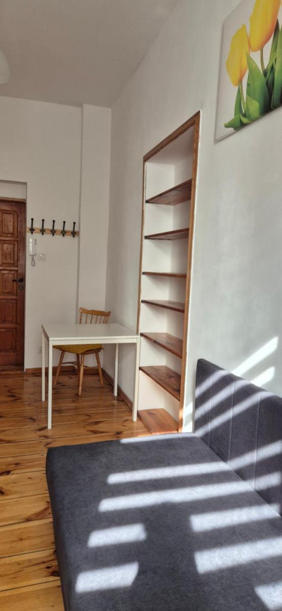 Hostel Tulip - pokój jednoosobowy nr 3 ze wspólną łazienką i kuchnią - Housity