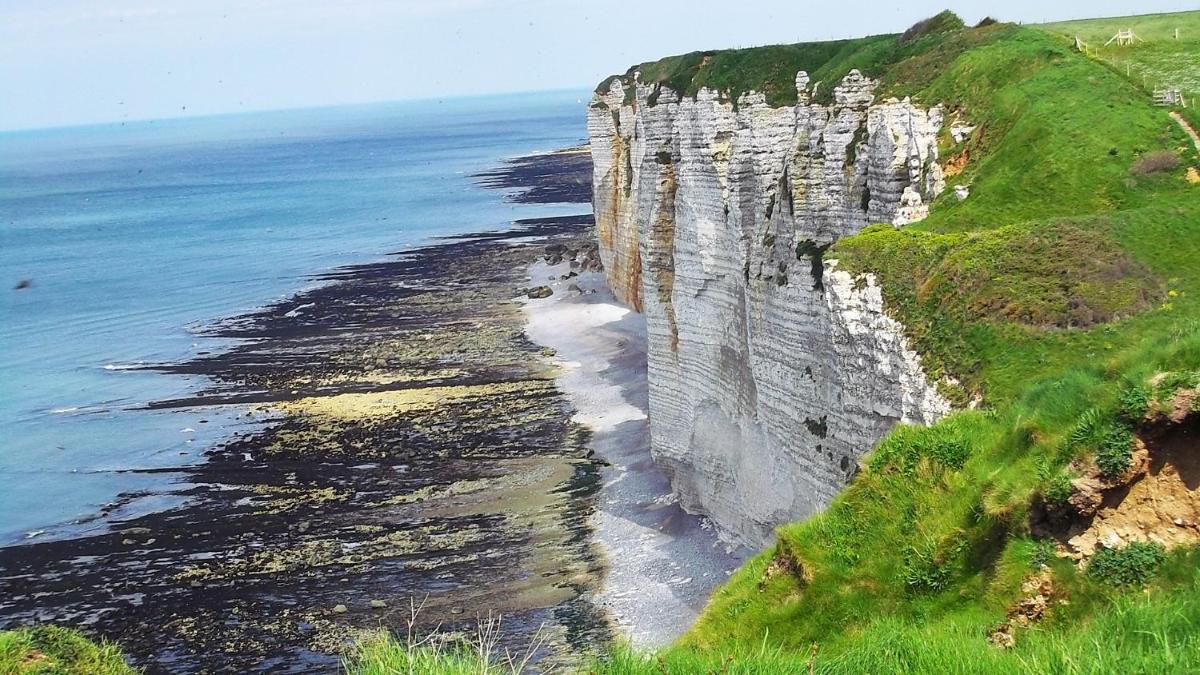 Chambre d'Hôtes Etretat - Housity