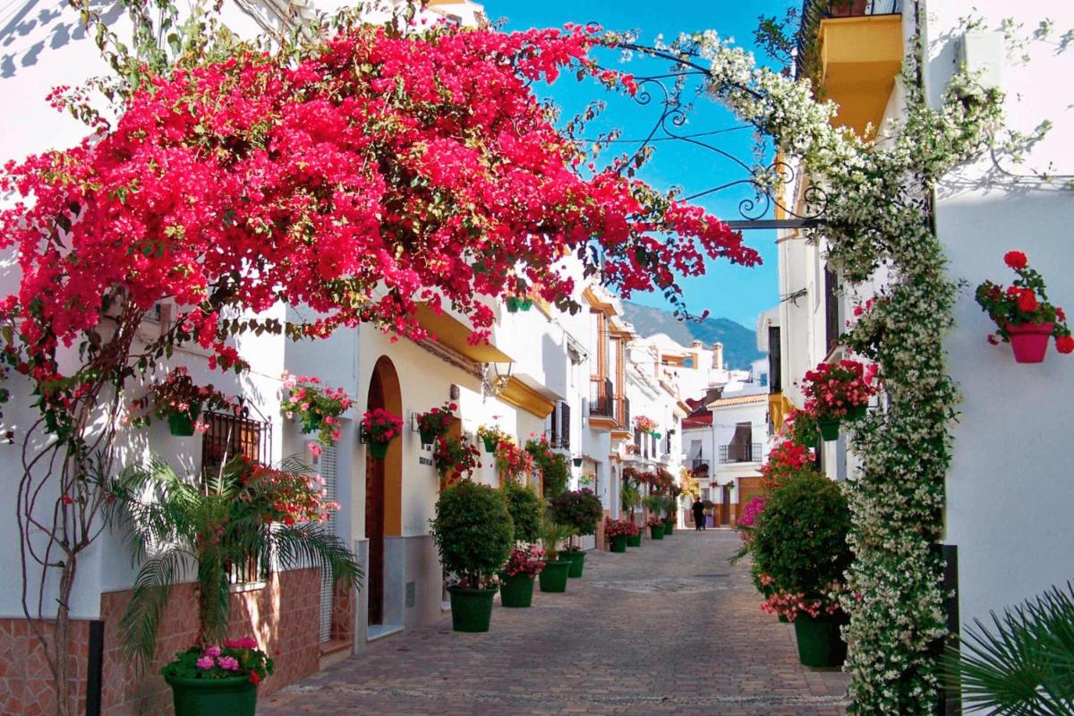 Kampaoh Estepona - Housity