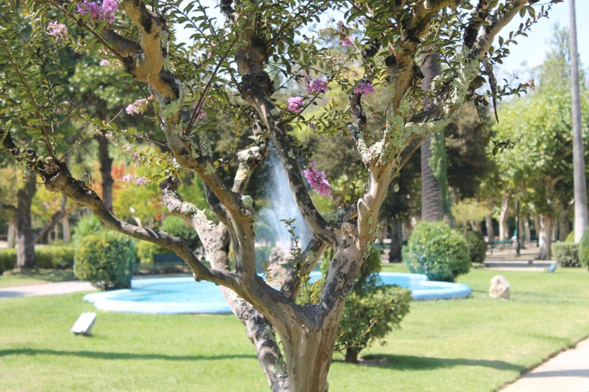 Um jardim no exterior de Hotel Termas da Curia