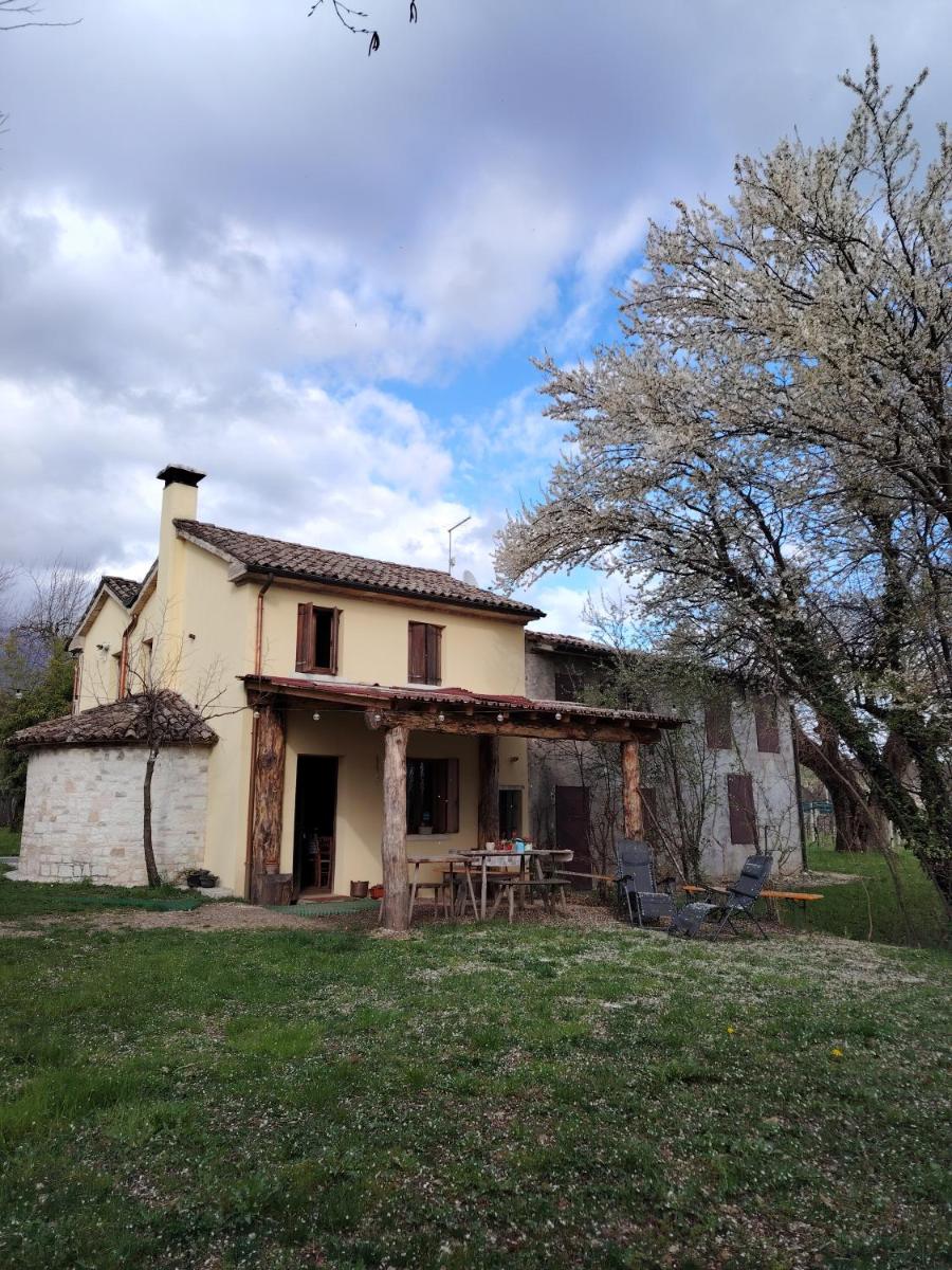 La Caneveta al Piave - Housity